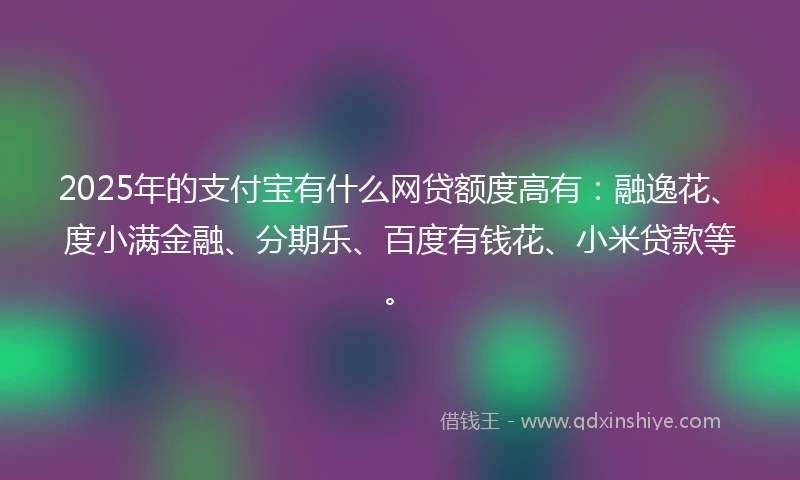 2025年的支付宝有什么网贷额度高有：融逸花、度小满金融、分期乐、百度有钱花、小米贷款等。