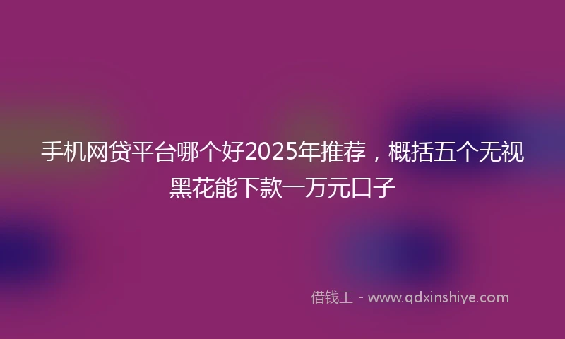 手机网贷平台哪个好2025年推荐，概括五个无视黑花能下款一万元口子