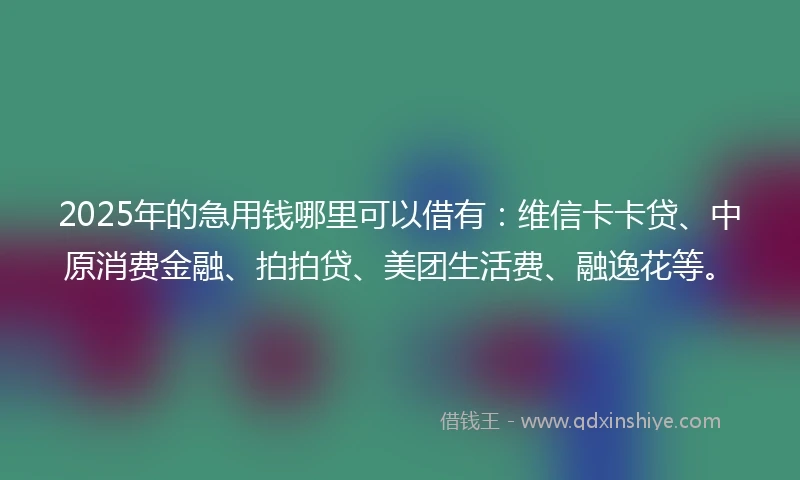 2025年的急用钱哪里可以借有：维信卡卡贷、中原消费金融、拍拍贷、美团生活费、融逸花等。