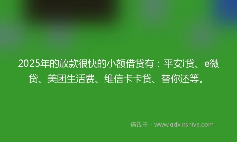 2025年的放款很快的小额借贷有：平安i贷、e微贷、美团生活费、维信卡卡贷、替你还等。