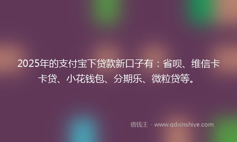 2025年的支付宝下贷款新口子有：省呗、维信卡卡贷、小花钱包、分期乐、微粒贷等。