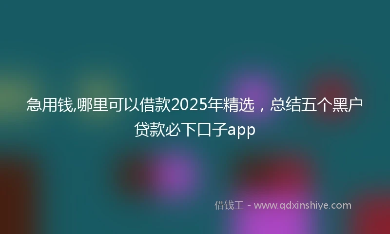 急用钱,哪里可以借款2025年精选，总结五个黑户贷款必下口子app