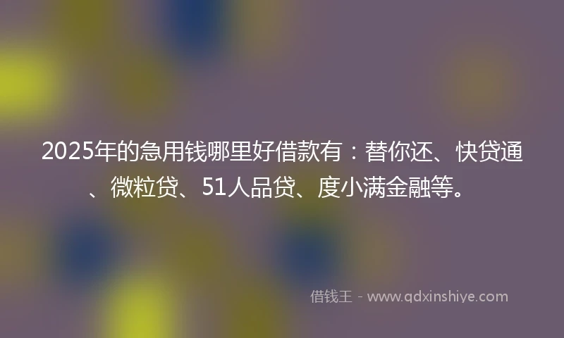 2025年的急用钱哪里好借款有：替你还、快贷通、微粒贷、51人品贷、度小满金融等。