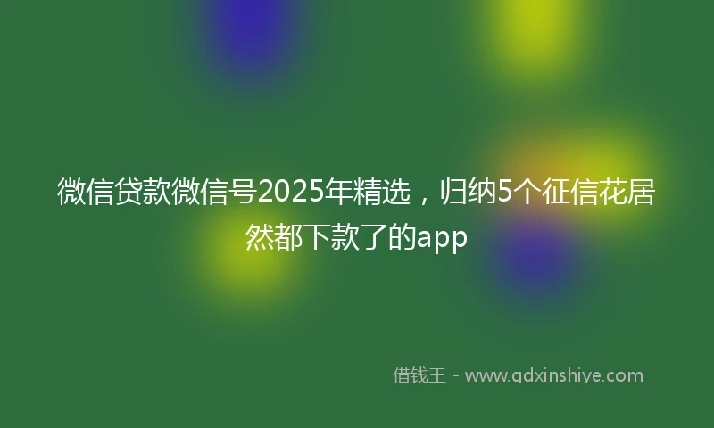 微信贷款微信号2025年精选，归纳5个征信花居然都下款了的app
