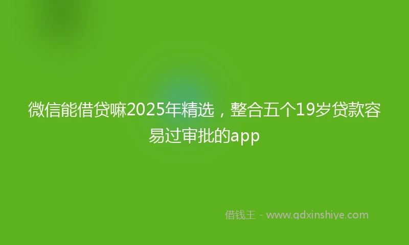 微信能借贷嘛2025年精选，整合五个19岁贷款容易过审批的app