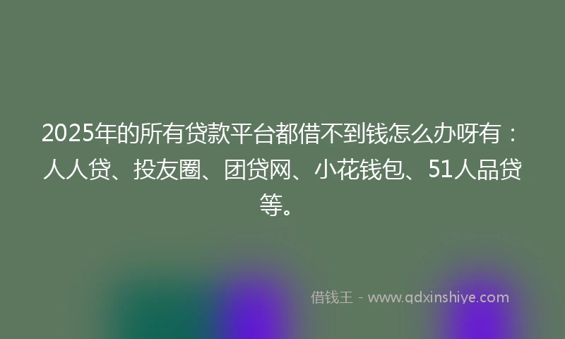2025年的所有贷款平台都借不到钱怎么办呀有：人人贷、投友圈、团贷网、小花钱包、51人品贷等。