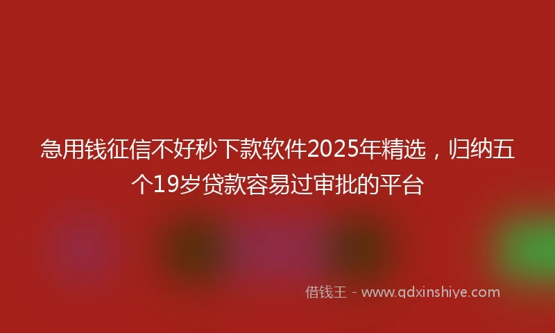 急用钱征信不好秒下款软件2025年精选，归纳五个19岁贷款容易过审批的平台