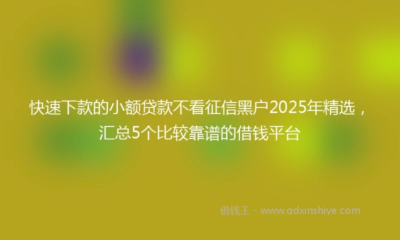 快速下款的小额贷款不看征信黑户2025年精选，汇总5个比较靠谱的借钱平台