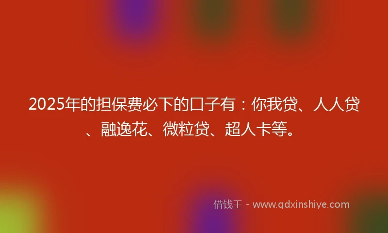 2025年的担保费必下的口子有：你我贷、人人贷、融逸花、微粒贷、超人卡等。