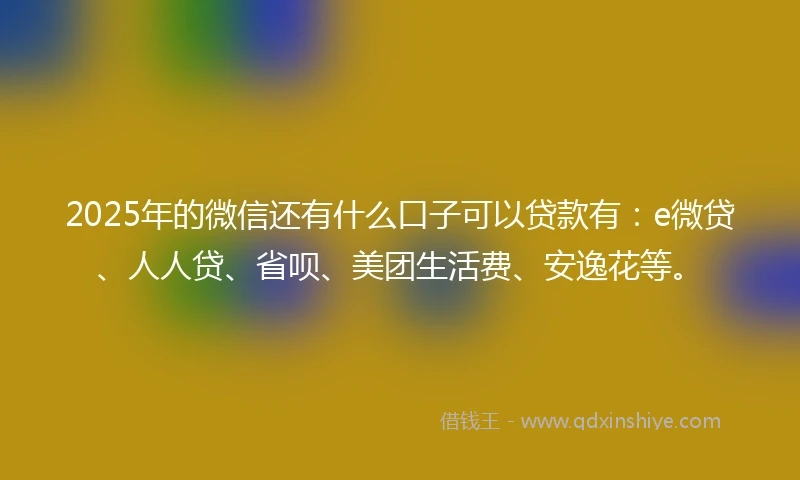 2025年的微信还有什么口子可以贷款有:e微贷、人人贷、省呗、美团生活费、安逸花等。