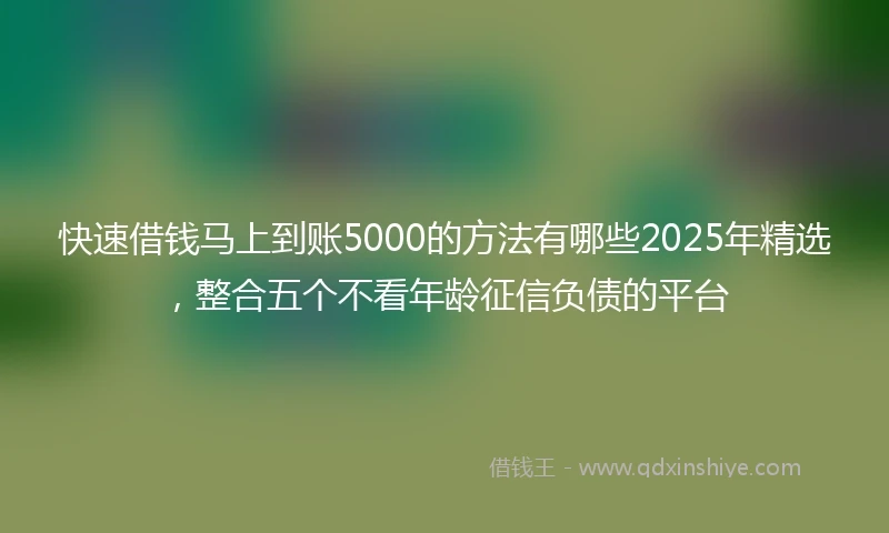 快速借钱马上到账5000的方法有哪些2025年精选，整合五个不看年龄征信负债的平台