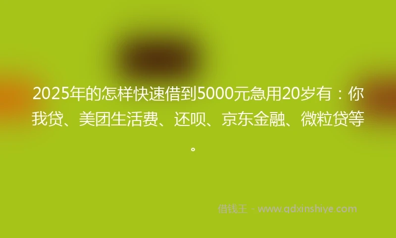 2025年的怎样快速借到5000元急用20岁有：你我贷、美团生活费、还呗、京东金融、微粒贷等。
