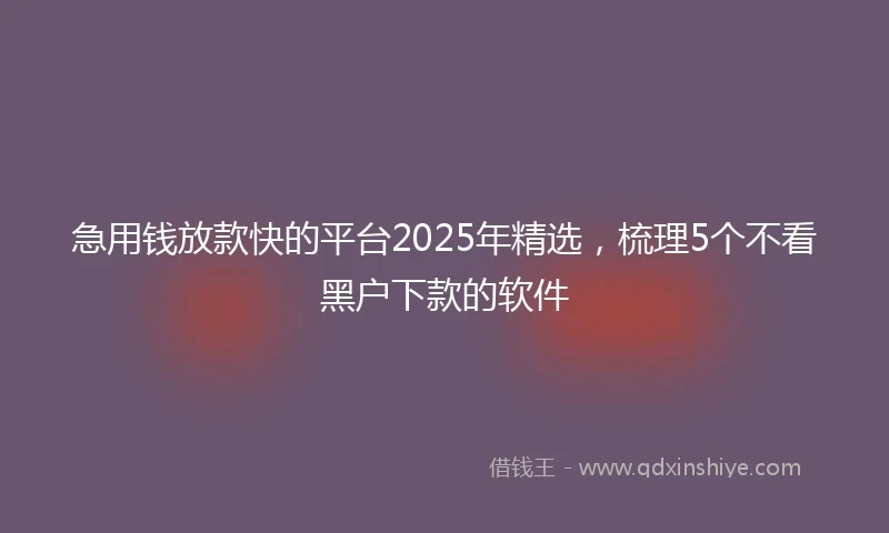急用钱放款快的平台2025年精选，梳理5个不看黑户下款的软件