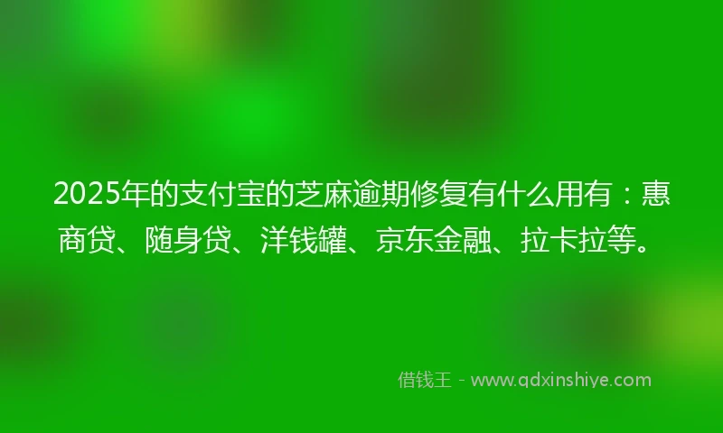 2025年的支付宝的芝麻逾期修复有什么用有：惠商贷、随身贷、洋钱罐、京东金融、拉卡拉等。