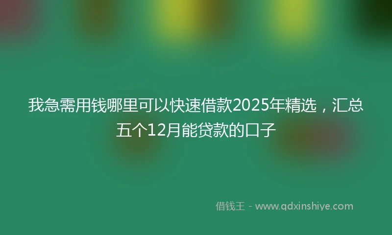 我急需用钱哪里可以快速借款2025年精选，汇总五个12月能贷款的口子