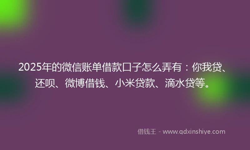 2025年的微信账单借款口子怎么弄有：你我贷、还呗、微博借钱、小米贷款、滴水贷等。