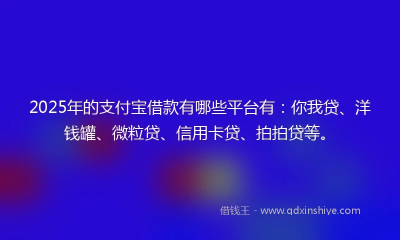 2025年的支付宝借款有哪些平台有：你我贷、洋钱罐、微粒贷、信用卡贷、拍拍贷等。