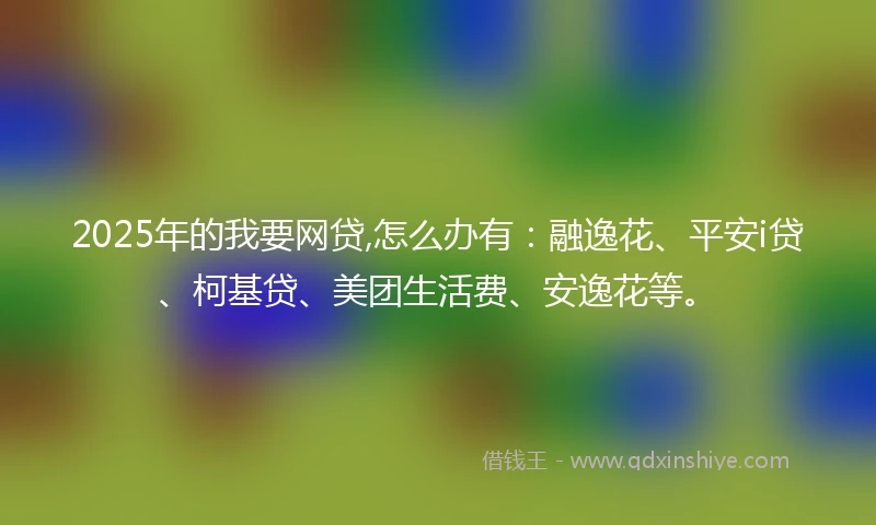 2025年的我要网贷,怎么办有：融逸花、平安i贷、柯基贷、美团生活费、安逸花等。