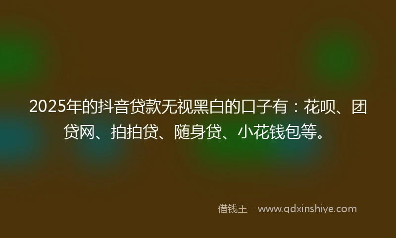 2025年的抖音贷款无视黑白的口子有：花呗、团贷网、拍拍贷、随身贷、小花钱包等。