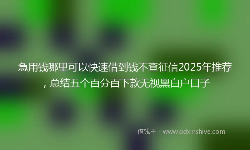 急用钱哪里可以快速借到钱不查征信2025年推荐，总结五个百分百下款无视黑白户口子