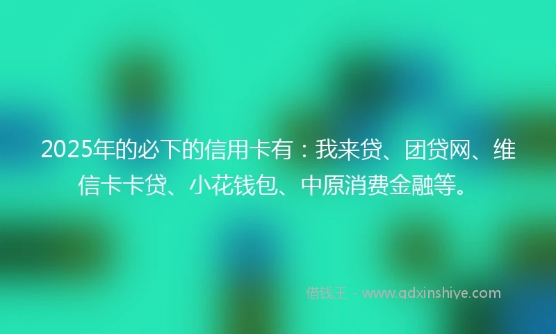 2025年的必下的信用卡有：我来贷、团贷网、维信卡卡贷、小花钱包、中原消费金融等。