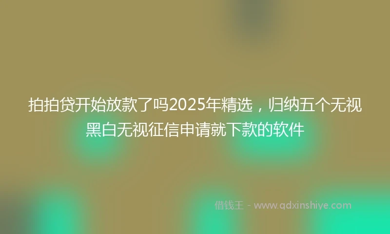 拍拍贷开始放款了吗2025年精选，归纳五个无视黑白无视征信申请就下款的软件