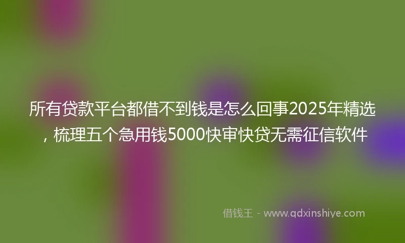 所有贷款平台都借不到钱是怎么回事2025年精选，梳理五个急用钱5000快审快贷无需征信软件