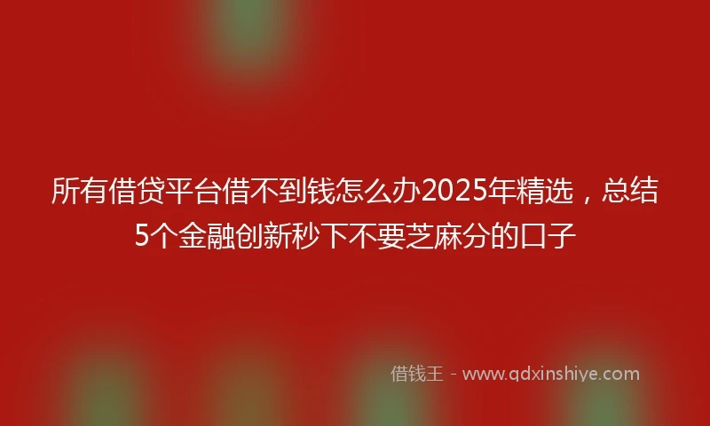 所有借贷平台借不到钱怎么办2025年精选，总结5个金融创新秒下不要芝麻分的口子