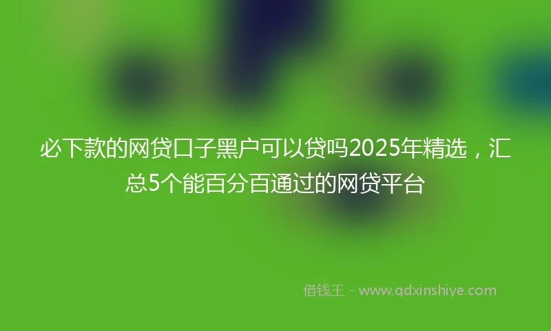 必下款的网贷口子黑户可以贷吗2025年精选，汇总5个能百分百通过的网贷平台
