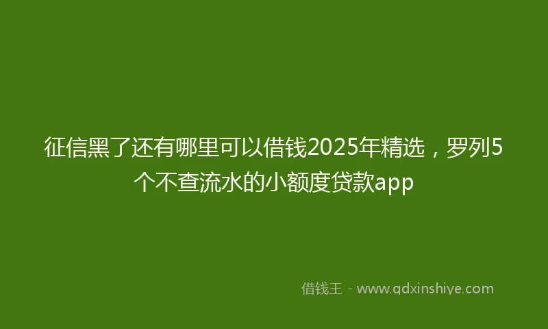 征信黑了还有哪里可以借钱2025年精选，罗列5个不查流水的小额度贷款app