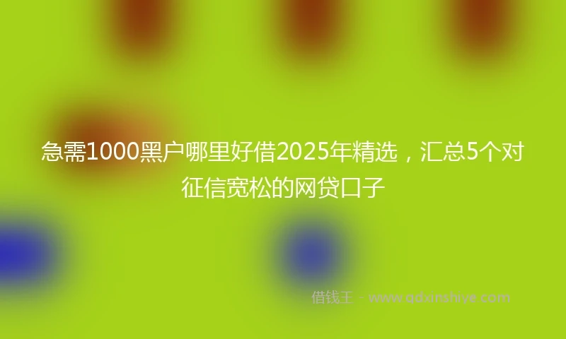 急需1000黑户哪里好借2025年精选，汇总5个对征信宽松的网贷口子