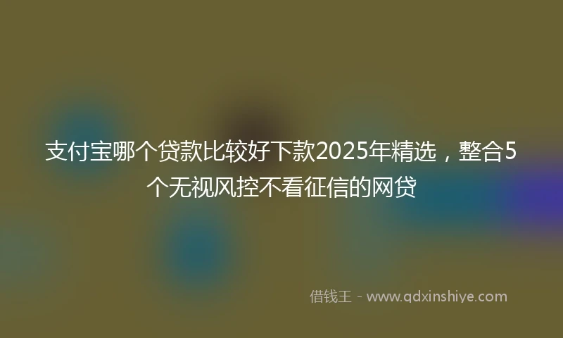 支付宝哪个贷款比较好下款2025年精选，整合5个无视风控不看征信的网贷