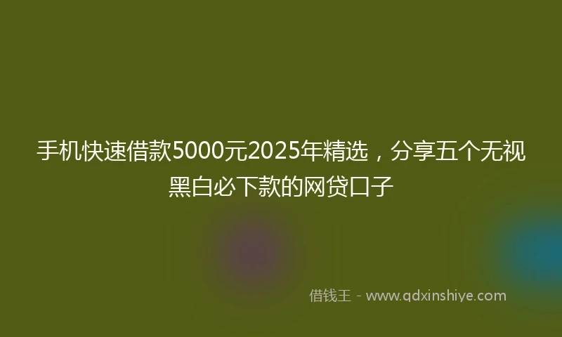 手机快速借款5000元2025年精选，分享五个无视黑白必下款的网贷口子