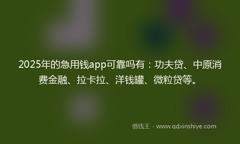 2025年的急用钱app可靠吗有：功夫贷、中原消费金融、拉卡拉、洋钱罐、微粒贷等。