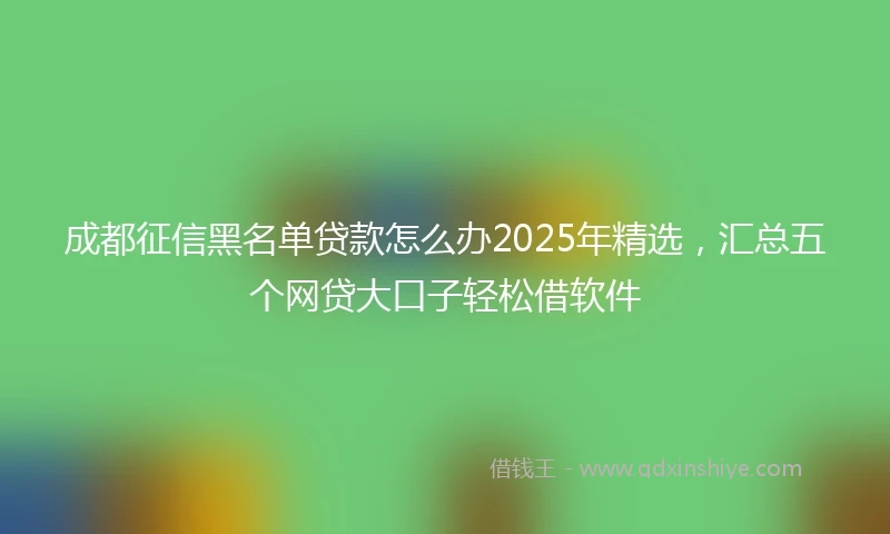 成都征信黑名单贷款怎么办2025年精选，汇总五个网贷大口子轻松借软件