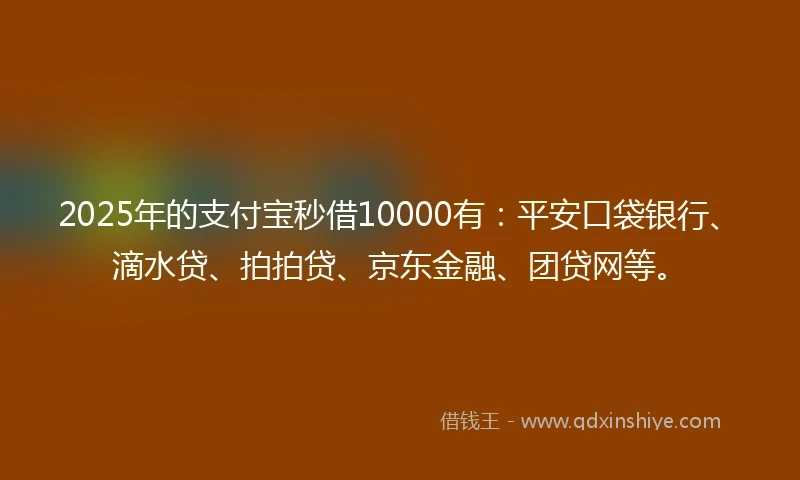 2025年的支付宝秒借10000有：平安口袋银行、滴水贷、拍拍贷、京东金融、团贷网等。
