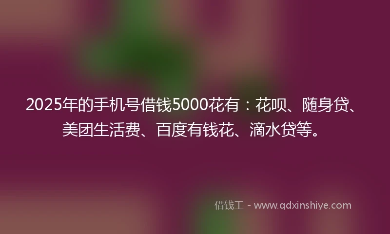 2025年的手机号借钱5000花有：花呗、随身贷、美团生活费、百度有钱花、滴水贷等。
