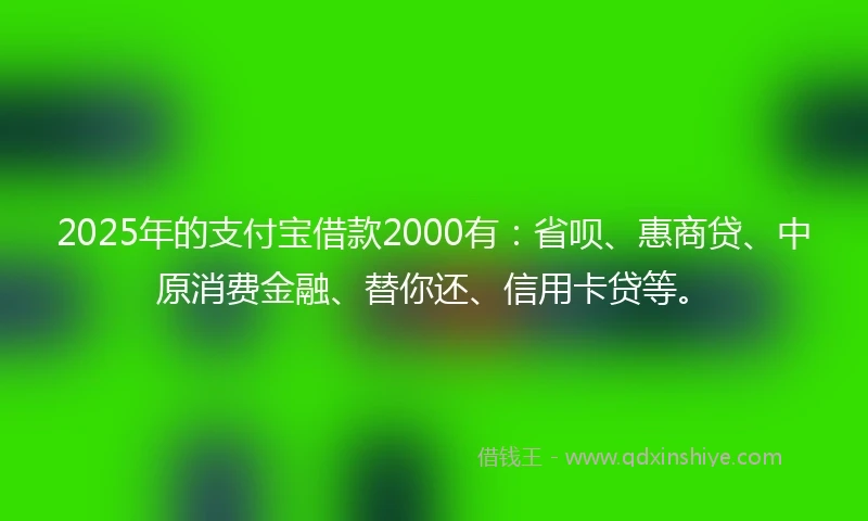 2025年的支付宝借款2000有：省呗、惠商贷、中原消费金融、替你还、信用卡贷等。