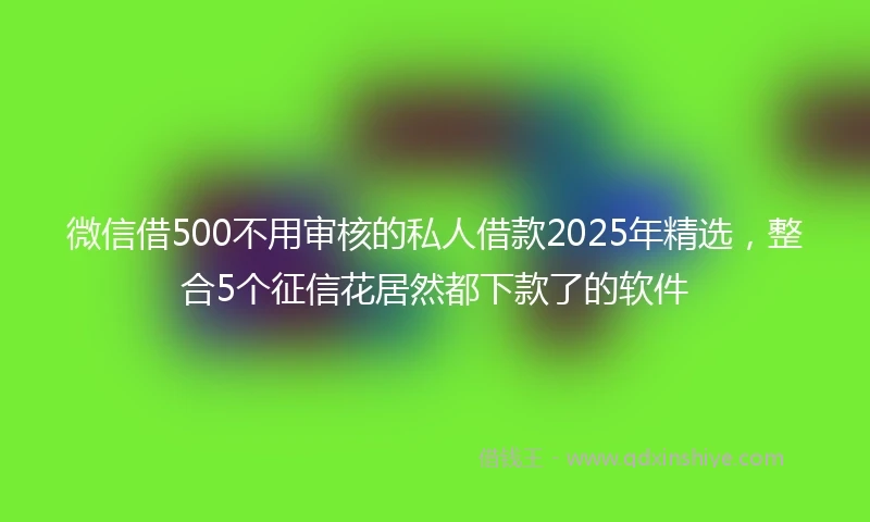 微信借500不用审核的私人借款2025年精选，整合5个征信花居然都下款了的软件