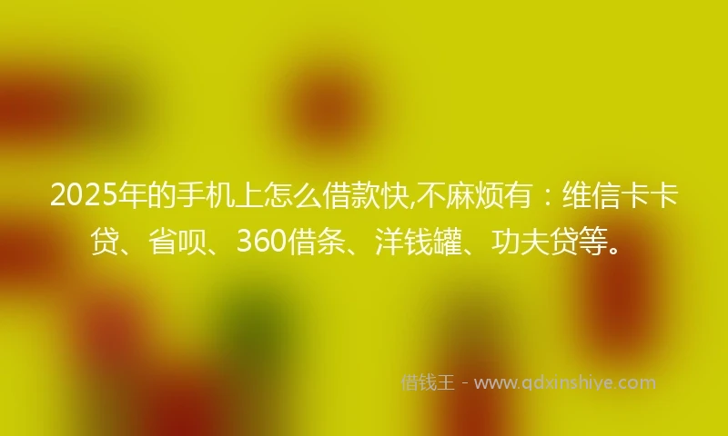 2025年的手机上怎么借款快,不麻烦有：维信卡卡贷、省呗、360借条、洋钱罐、功夫贷等。