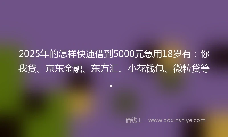 2025年的怎样快速借到5000元急用18岁有：你我贷、京东金融、东方汇、小花钱包、微粒贷等。