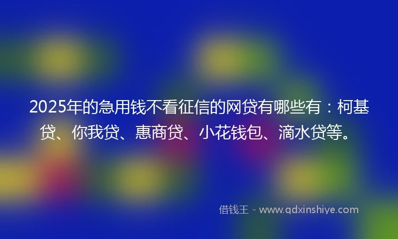 2025年的急用钱不看征信的网贷有哪些有：柯基贷、你我贷、惠商贷、小花钱包、滴水贷等。