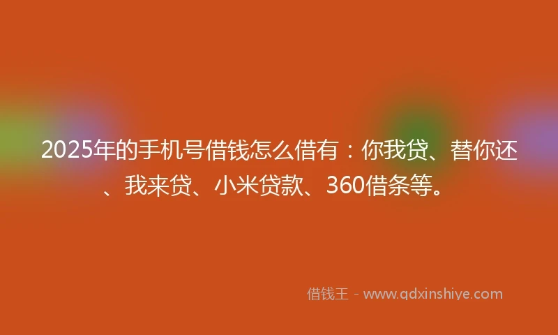 2025年的手机号借钱怎么借有：你我贷、替你还、我来贷、小米贷款、360借条等。
