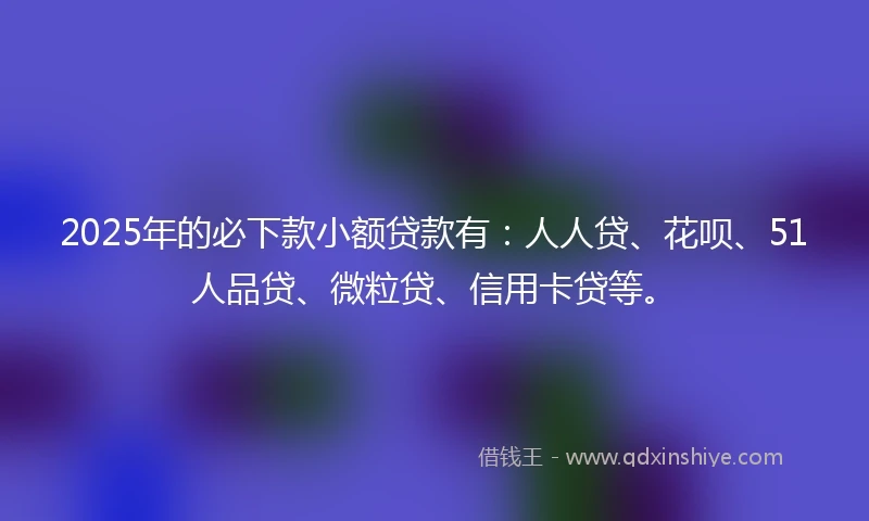 2025年的必下款小额贷款有：人人贷、花呗、51人品贷、微粒贷、信用卡贷等。
