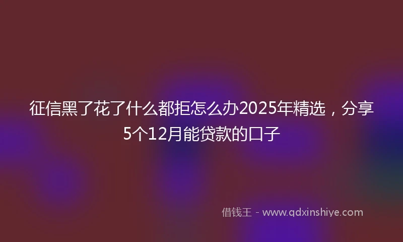 征信黑了花了什么都拒怎么办2025年精选，分享5个12月能贷款的口子