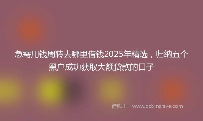 急需用钱周转去哪里借钱2025年精选，归纳五个黑户成功获取大额贷款的口子