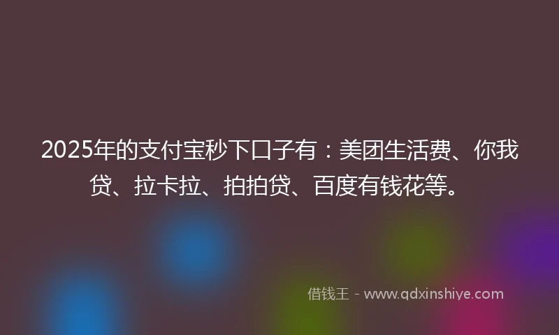 2025年的支付宝秒下口子有：美团生活费、你我贷、拉卡拉、拍拍贷、百度有钱花等。