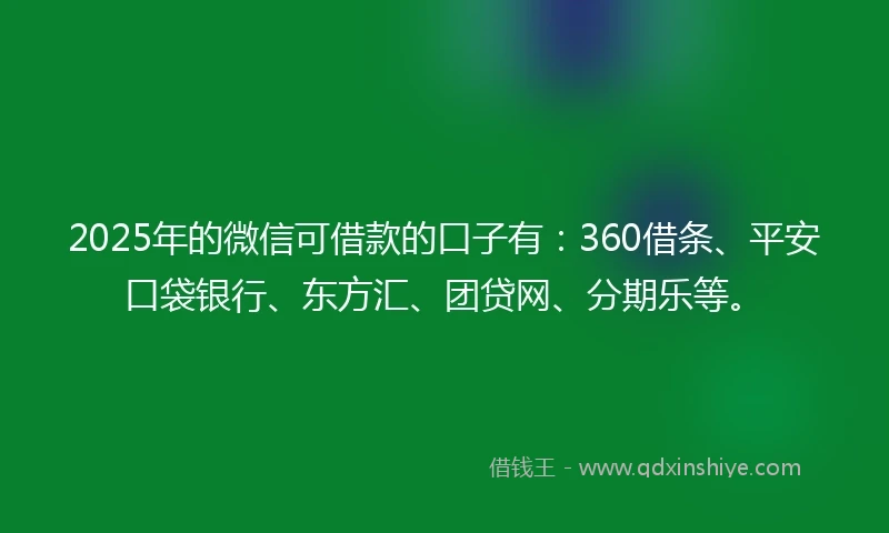 2025年的微信可借款的口子有：360借条、平安口袋银行、东方汇、团贷网、分期乐等。