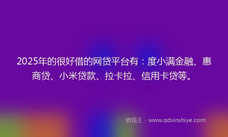 2025年的很好借的网贷平台有：度小满金融、惠商贷、小米贷款、拉卡拉、信用卡贷等。