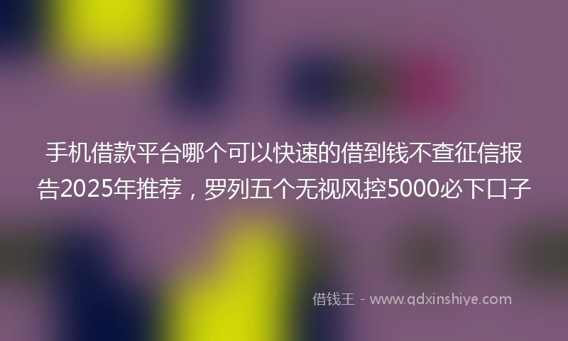 手机借款平台哪个可以快速的借到钱不查征信报告2025年推荐，罗列五个无视风控5000必下口子